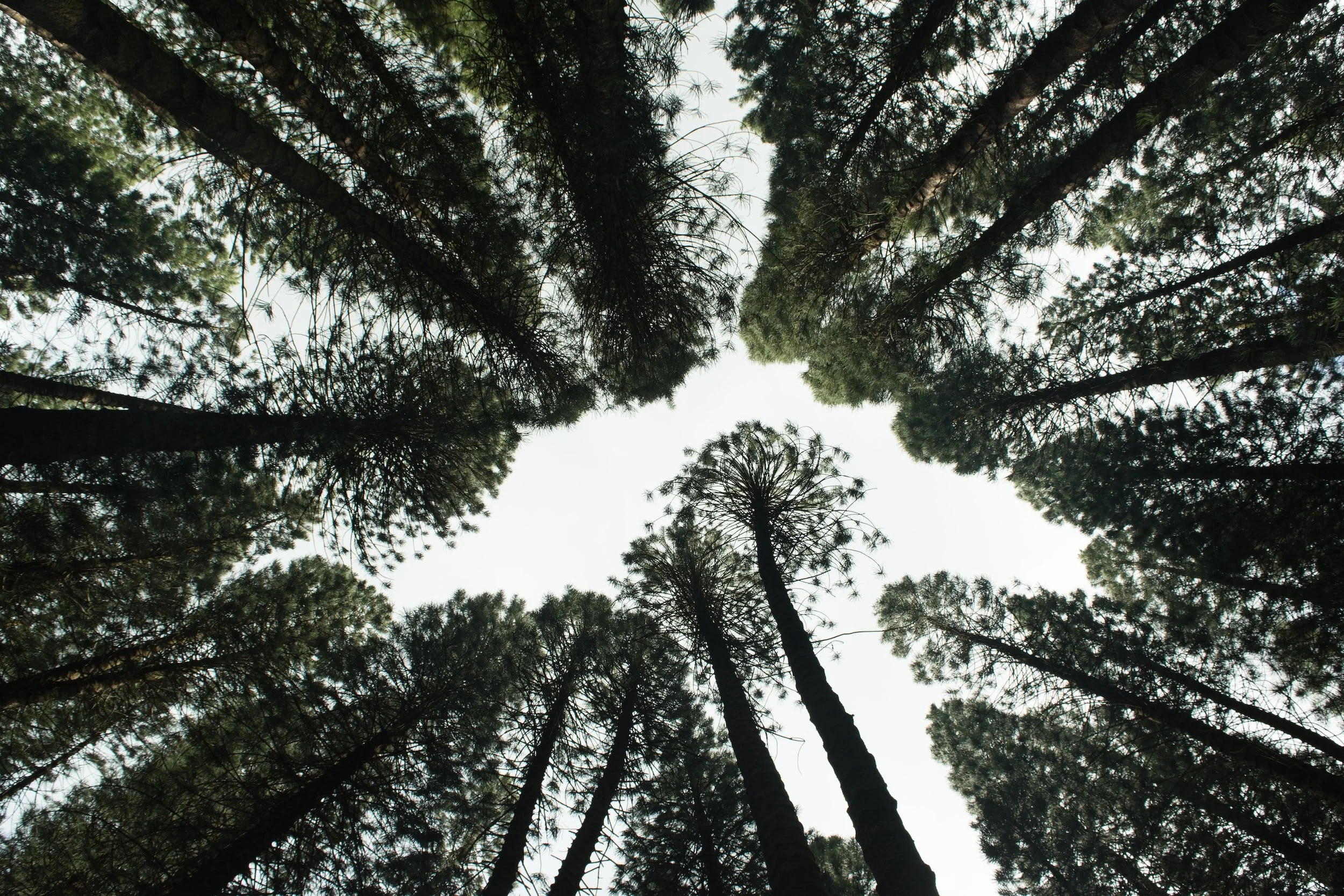 Reducing Waste and Increasing Sustainability in Manufacturing through Technology